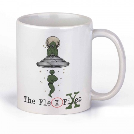 THE FLEX FILES , kopp